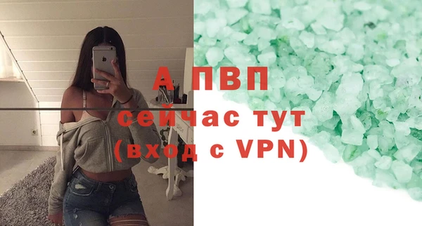 сатива Козельск