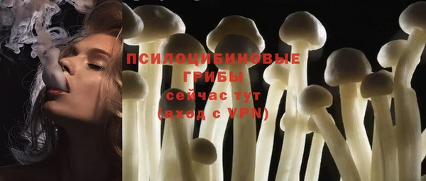 сатива Козельск