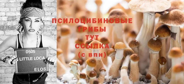 бутират Козловка