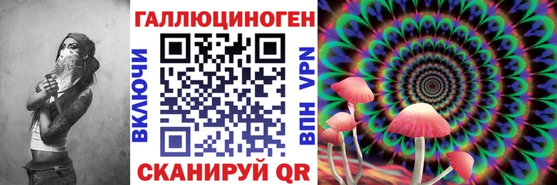 Купить  Билибино  Галлюциногенные грибы Psilocybine cubensis 